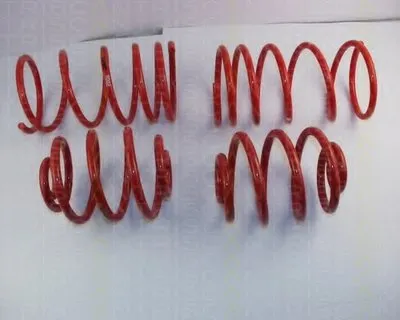 Комплект ходовой части, пружины TRISCAN купить