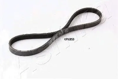 V-Ribbed Belts ASHIKA купить