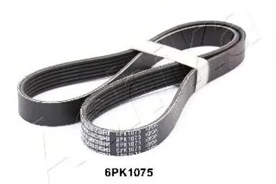V-Ribbed Belts ASHIKA купить