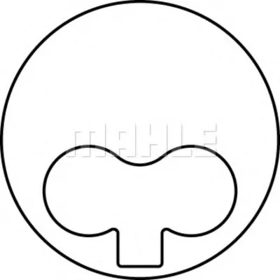 Поршень MAHLE ORIGINAL купить