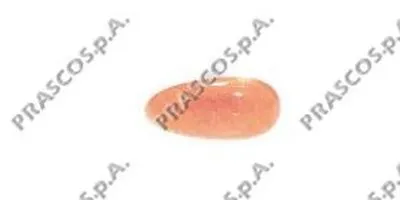 Фонарь указателя поворота PRASCO купить