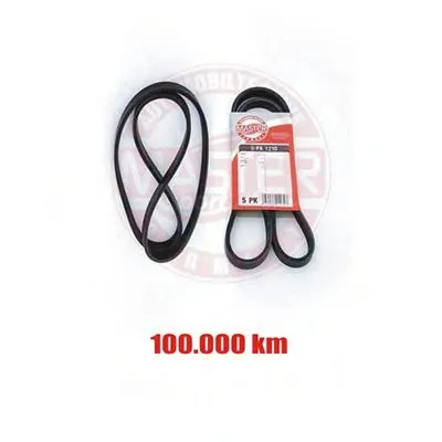 V-Ribbed Belts MASTER-SPORT купить