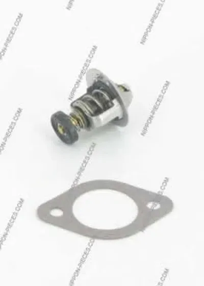 Термостат, охлаждающая жидкость NPS купить