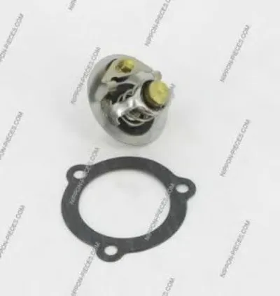 Термостат, охлаждающая жидкость NPS купить