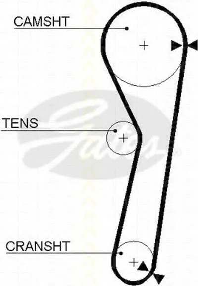 Ремень ГРМ TRISCAN купить