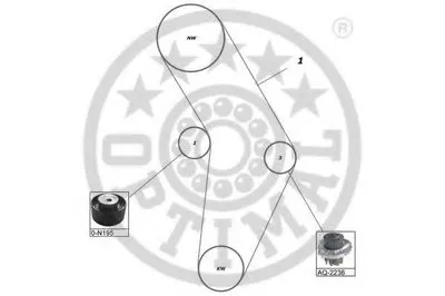 Водяной насос + комплект зубчатого ремня OPTIMAL купить