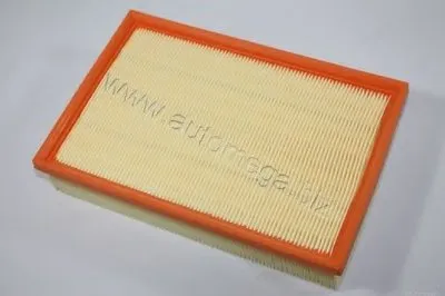 Воздушный фильтр AutoMega Premium AUTOMEGA купить