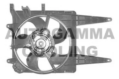 Вентилятор, охлаждение двигателя AUTOGAMMA купить