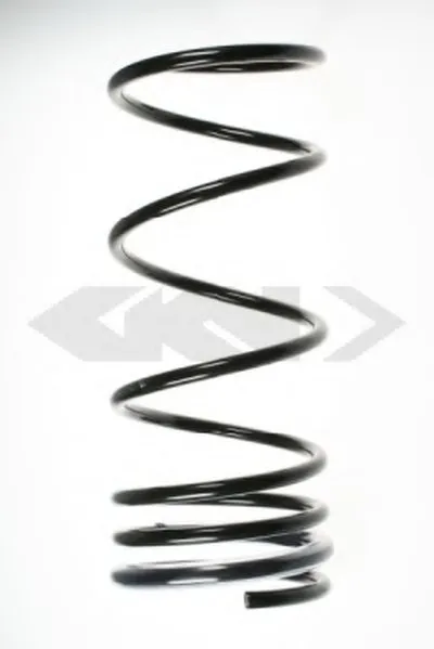 винтовая пружина SPIDAN купить