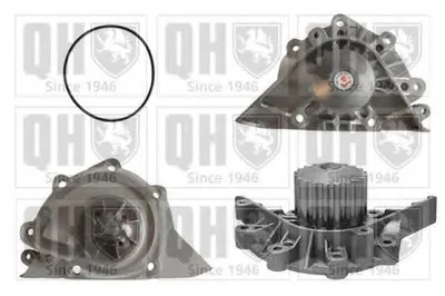 Водяной насос QUINTON HAZELL купить