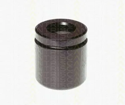 Поршень, корпус скобы тормоза TRISCAN купить