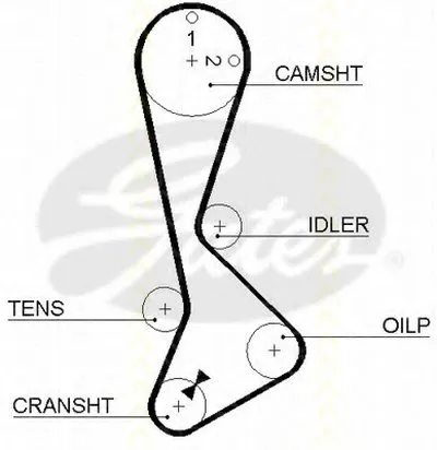 Ремень ГРМ TRISCAN купить