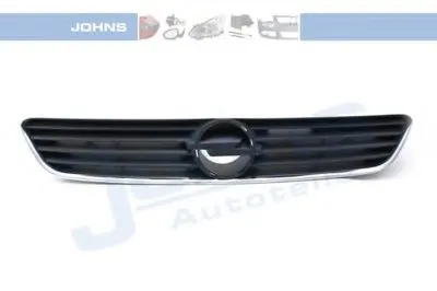 Решетка радиатора JOHNS купить