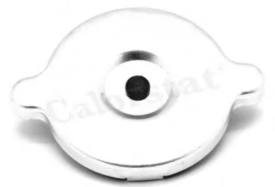 Пробка радиатора CALORSTAT by Vernet купить