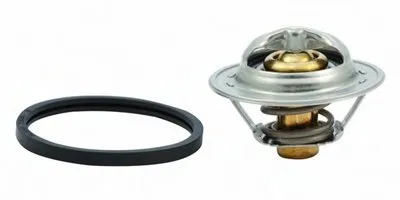 Термостат, охлаждающая жидкость HOFFER купить