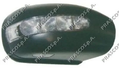 Покрытие, внешнее зеркало PRASCO купить