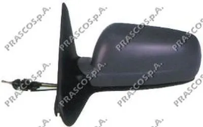 Наружное зеркало PRASCO купить