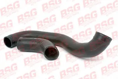 Трубка нагнетаемого воздуха BSG купить