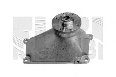 Натяжитель ремня, клиновой зубча AUTOTEAM купить