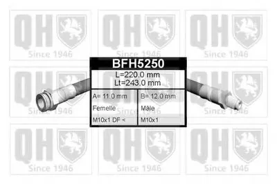 Тормозной шланг QUINTON HAZELL купить