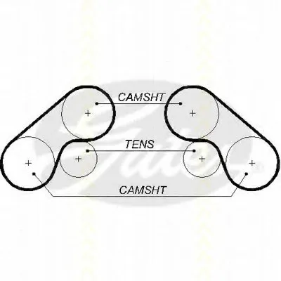 Ремень ГРМ TRISCAN купить