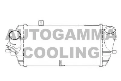 Интеркулер AUTOGAMMA купить