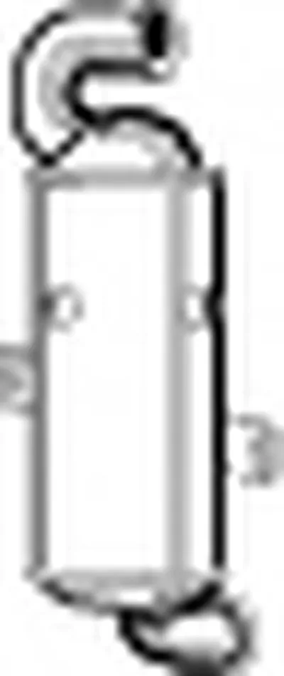 Сажевый / частичный фильтр, система выхлопа ОГ EVO C WALKER купить