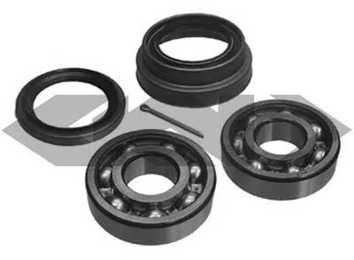 Комплект подшипника ступицы колеса SPIDAN купить