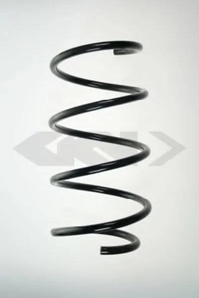 винтовая пружина SPIDAN купить