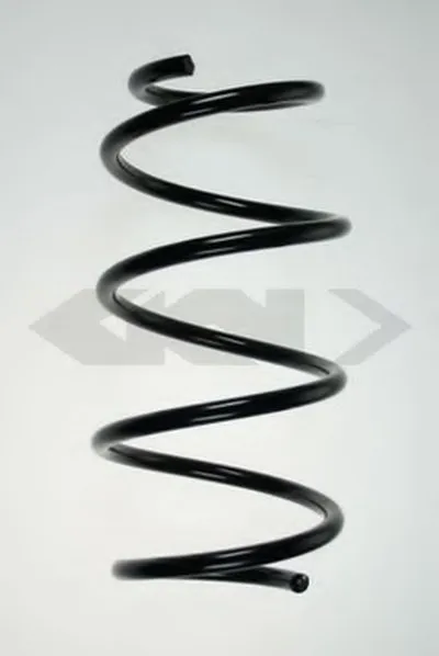 винтовая пружина SPIDAN купить