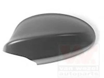 Покрытие, внешнее зеркало VAN WEZEL купить