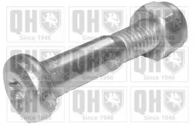 Зажимный болт, несущий / направляющий шарнир QUINTON HAZELL купить