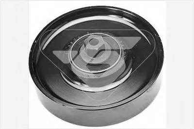 Паразитный / ведущий ролик, поликлиновой ремень HUTCHINSON купить