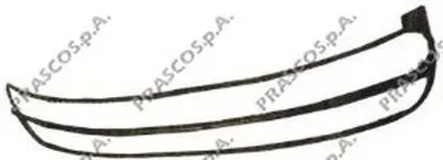 Рамка, облицовка радиатора PRASCO купить