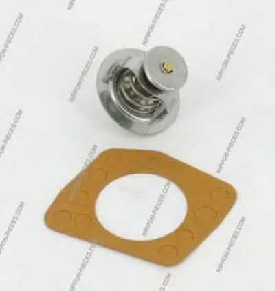 Термостат, охлаждающая жидкость NPS купить