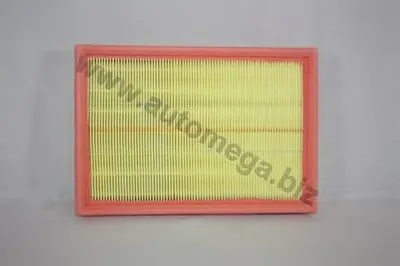 Воздушный фильтр AutoMega Premium AUTOMEGA купить