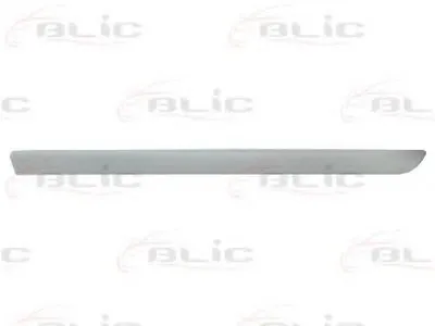 Облицовка / защитная накладка, дверь BLIC купить