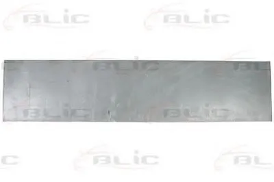 Дверь, кузов BLIC купить