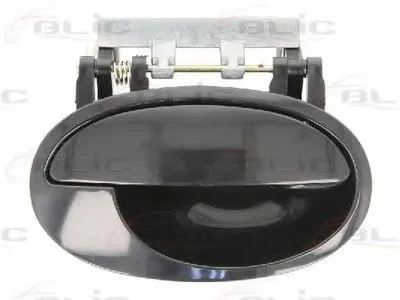 Ручка двери BLIC купить