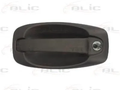 Ручка двери BLIC купить