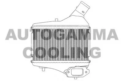 Интеркулер AUTOGAMMA купить