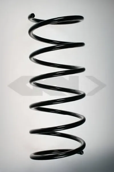 винтовая пружина SPIDAN купить