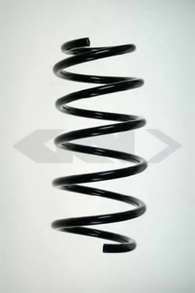 винтовая пружина SPIDAN купить