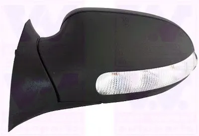 Наружное зеркало VAN WEZEL купить