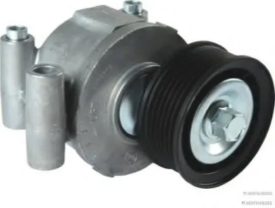 Натяжитель ремня, клиновой зубча HERTH+BUSS JAKOPARTS купить