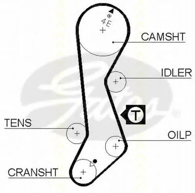 Ремень ГРМ TRISCAN купить