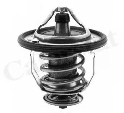 Термостат, охлаждающая жидкость CALORSTAT by Vernet купить