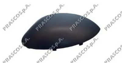 Покрытие, внешнее зеркало PRASCO купить