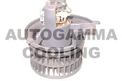 Вентиляция салона AUTOGAMMA купить