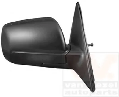 Наружное зеркало VAN WEZEL купить
